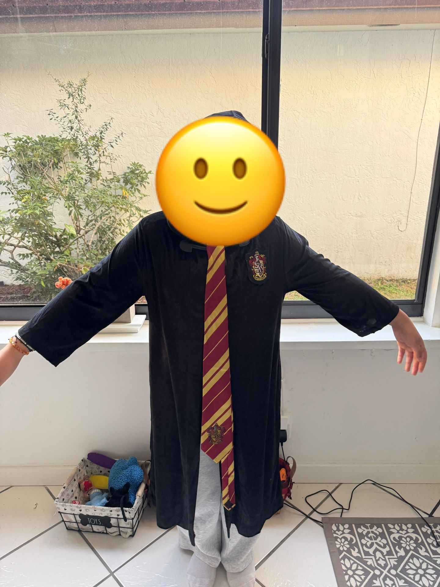 Harry Potter Gryffindor Robe Costume