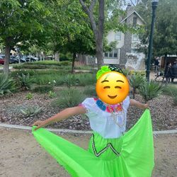 Traje O Vestido De Folklorico De Chiapas 