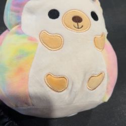 Rainbow Squish Mellow 