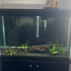 45 Gallon Aquarium 