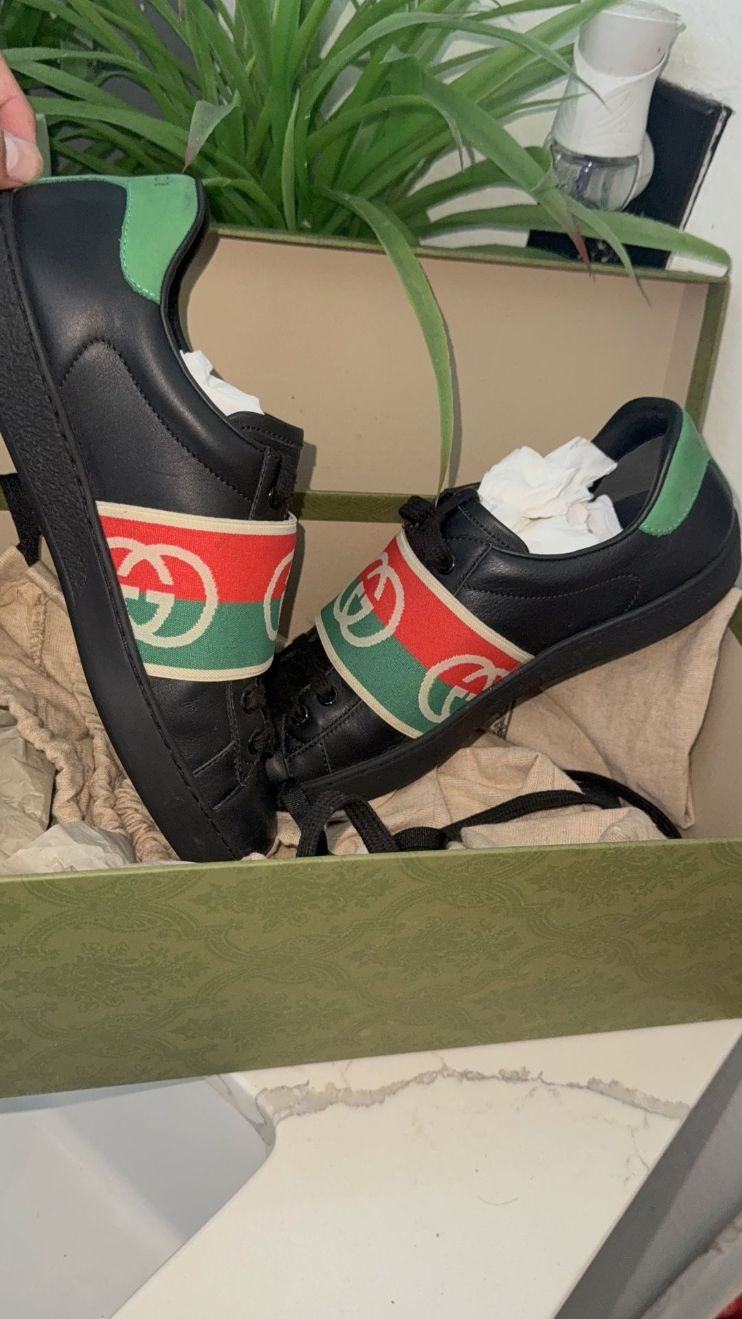 REAL GUCCI SHOES WITH BOX
