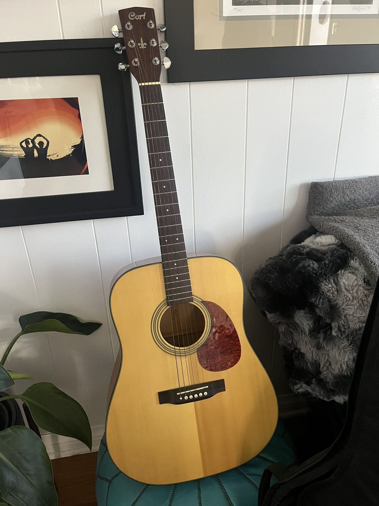 Acoustic Guitar