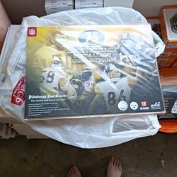 Steelers Collectable 