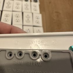 Wall Outlet And Face