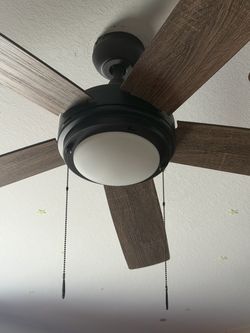Cieling fan