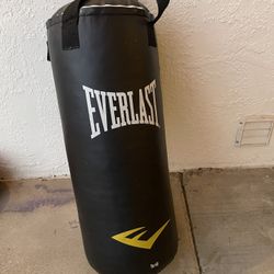 Everlast Boxing Bag