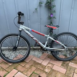 SE Racing 24” Floval Flyer 