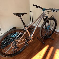 Santa Cruz Chameleon V7