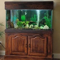Aquarium 100 Gallon Custom Built