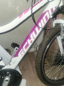 Shwin Bike