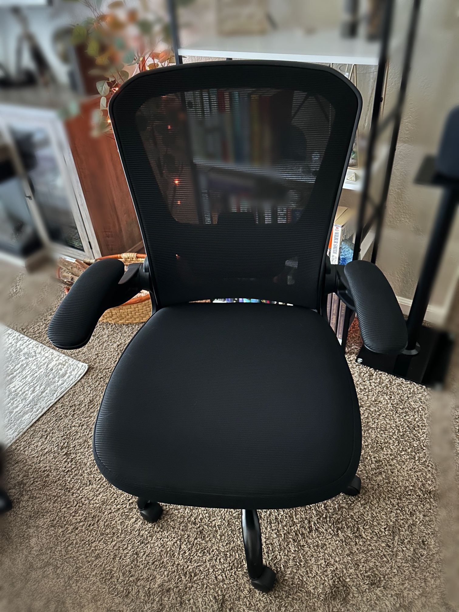 Office Chair (ergonomic)