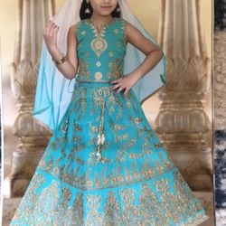 Diwali  Dress - Girl’s Indian Dress