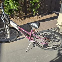 Girls bike five speed