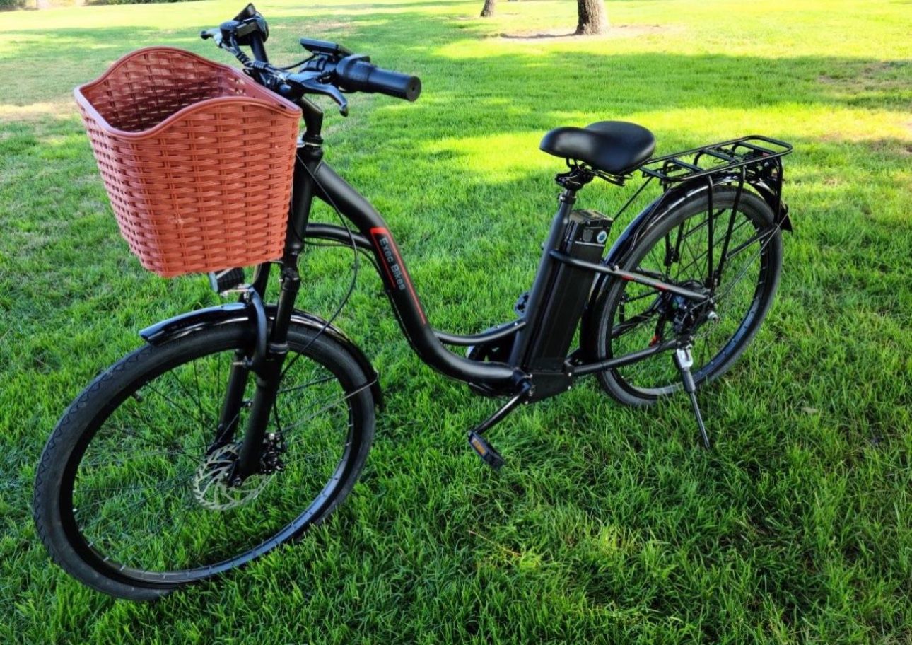 Electric Bike