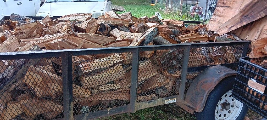 Firewood