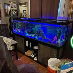 Fish Tank