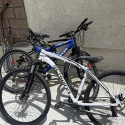 Bikes 