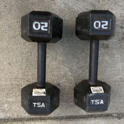 Pair of 20 Lb Steel Dumbbells 