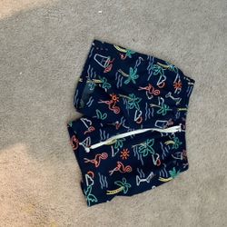 Chubbies Shorts
