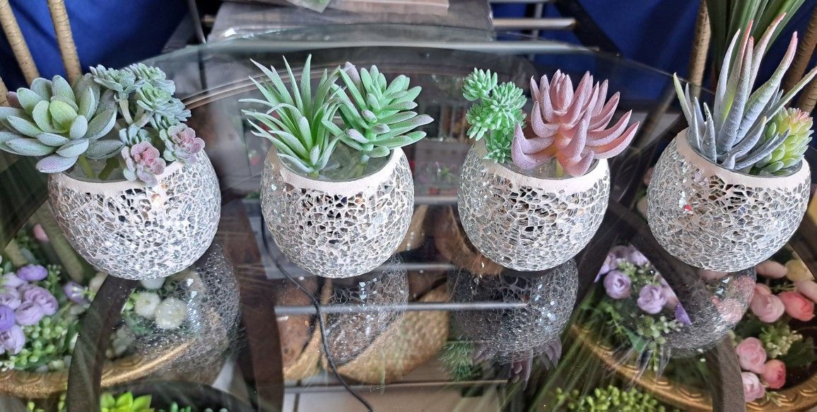 Succulent Collection : The Silver Mosaic (4-Vase Package) @ Lasting Creations