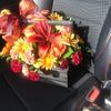Moving out sale!