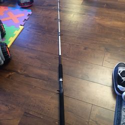 Ugly stick casting rod .