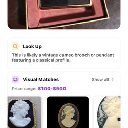 Pony Tailed Girl In Cameo