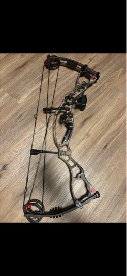 Hoyt vector 32