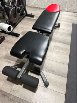Bowflex Workout Bench