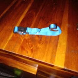 Doggie Collar