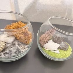 Set of 2 Contemporary Decorative Bowls With Natural Sand Rocks And Moss