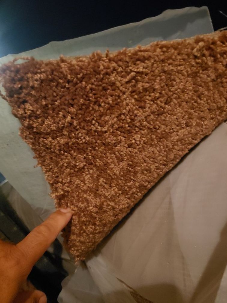 New Carpet Apartment Grade