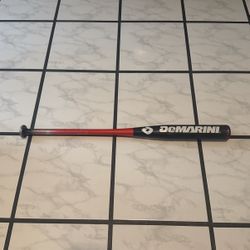 Youth Baseball Bat