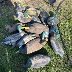 Hunting Duck Decoys 