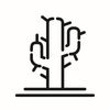 Prickin’ Customs Az