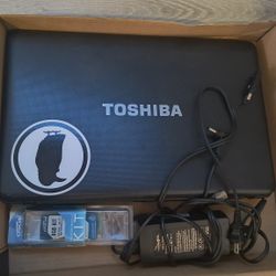 Toshiba Laptop 