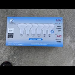 6 Pack Led Light Bulbs