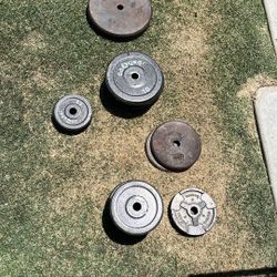 Free Weights 
