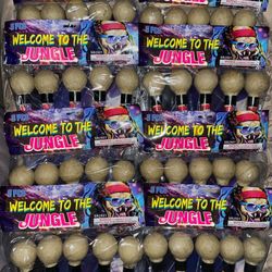 welcome to the jungle 