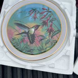 Hummingbird Decorative Plate 