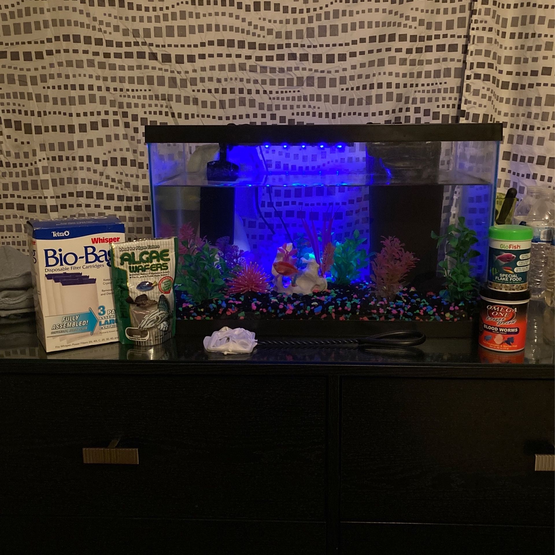 Fish Tank & More