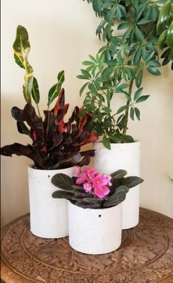 Set of 3 Succulent Hanging Planters- Flower Planter Pots- Hanging Plant Holders for indoor outdoor