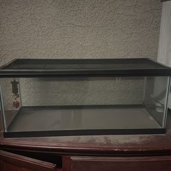 Fish tank