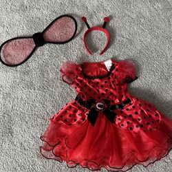 Ladybug Halloween Costume 