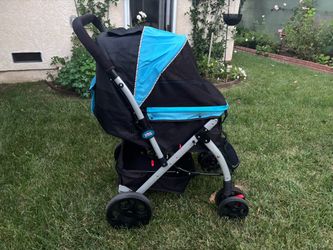 Doggie Stroller -Large