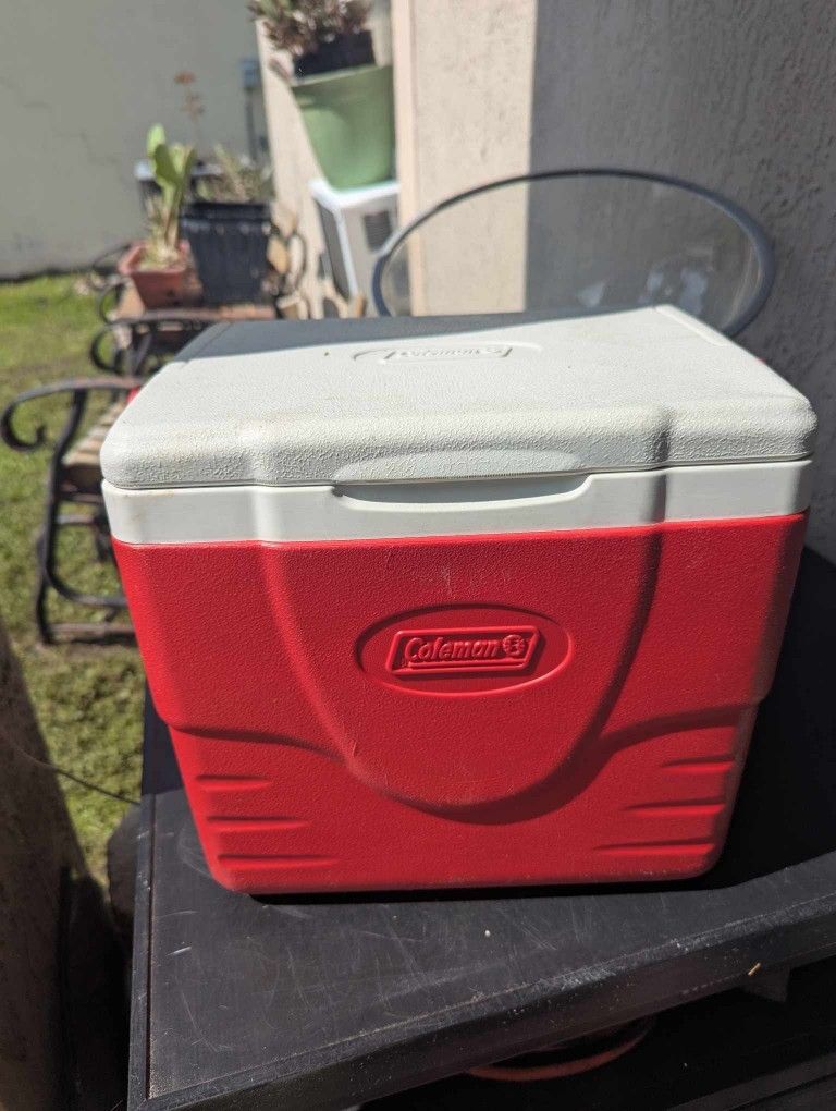 Coleman Lunch Box Cooler
