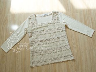 Long sleeve lace top(never worn)