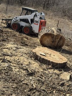 We cut down trees