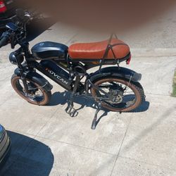 Electric Bicycle 