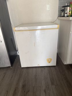 White Chest Freezer with Temperature Control